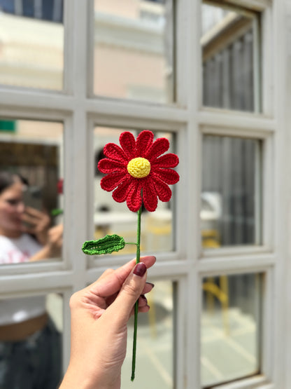 Daisy Flower Handmade Crochet