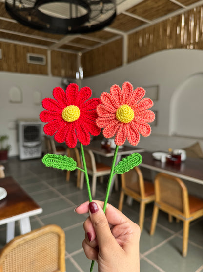 Daisy Flower Handmade Crochet