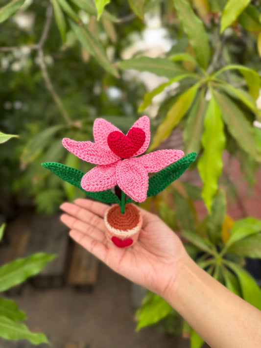 Lily With Heart Flower Pot – Handmade Crochet