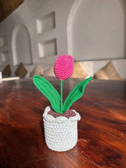 Tulip Flower Pot – Handmade Crochet ( Single )