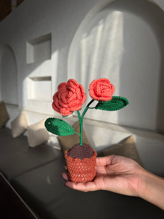 Rose Flower Pot – Handmade Crochet