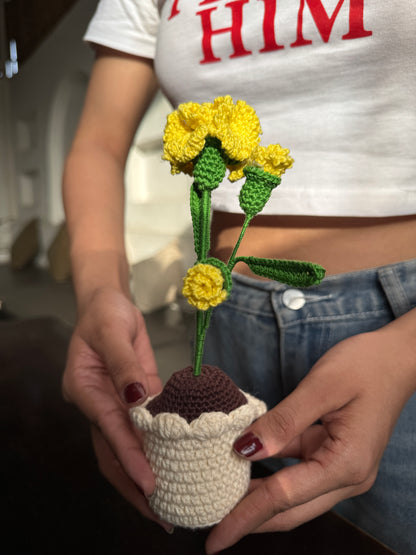 Marigold Small Flower Pot – Handmade Crochet