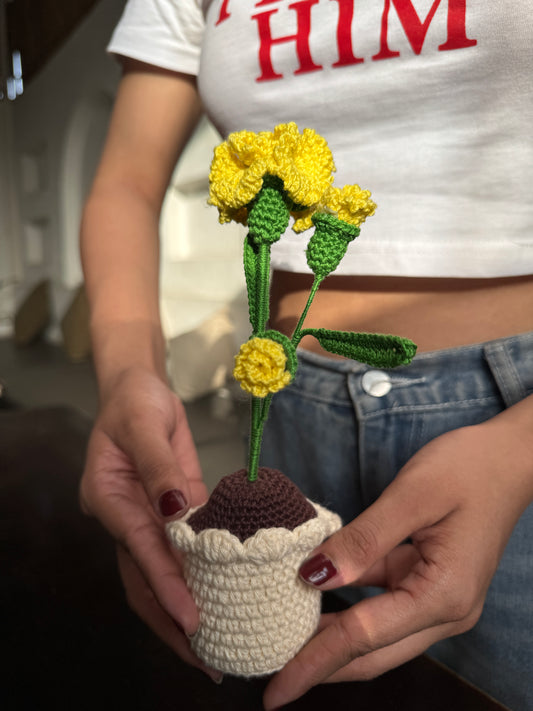 Marigold Small Flower Pot – Handmade Crochet
