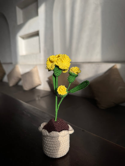 Marigold Small Flower Pot – Handmade Crochet