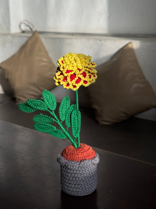 English Marigold Small Flower Pot – Handmade Crochet