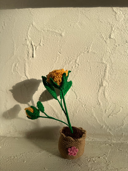 Marigold Small Flower Pot – Handmade Crochet