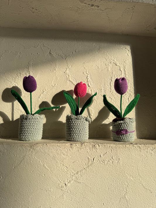 Tulip Flower Pot – Handmade Crochet ( Single )